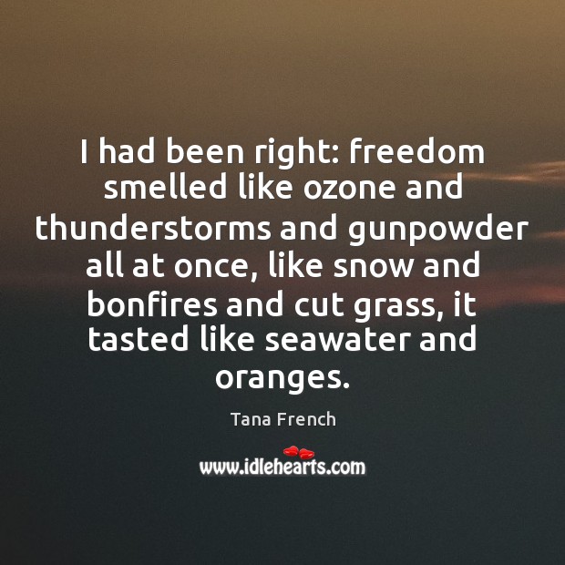 I had been right: freedom smelled like ozone and thunderstorms and gunpowder Tana French Picture Quote