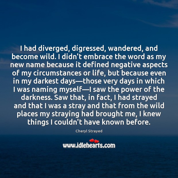 I had diverged, digressed, wandered, and become wild. I didn’t embrace the Image