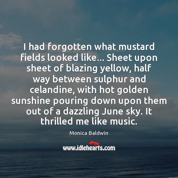 I had forgotten what mustard fields looked like… Sheet upon sheet of Monica Baldwin Picture Quote