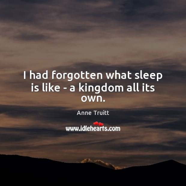 I had forgotten what sleep is like – a kingdom all its own. Anne Truitt Picture Quote