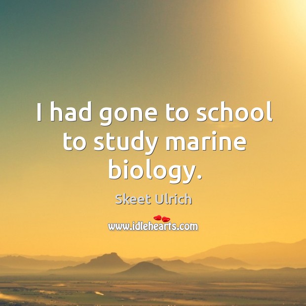 I had gone to school to study marine biology. Image
