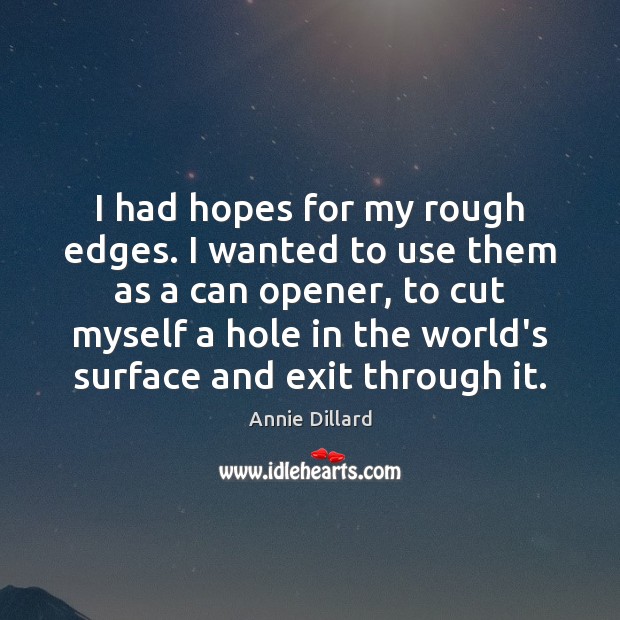 I had hopes for my rough edges. I wanted to use them Annie Dillard Picture Quote