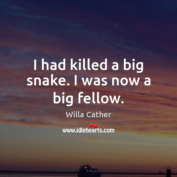 I had killed a big snake. I was now a big fellow. Willa Cather Picture Quote