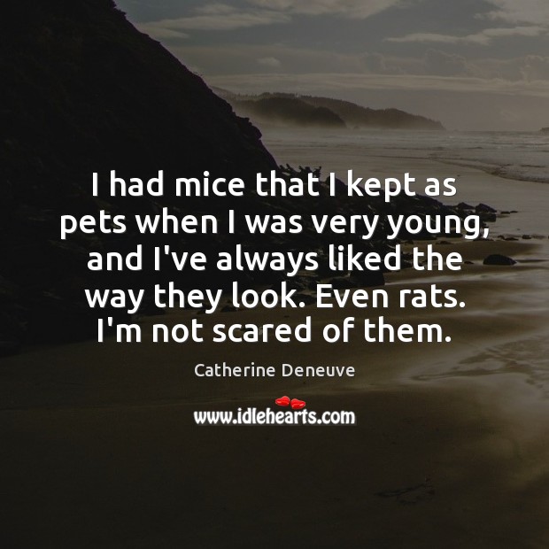 I had mice that I kept as pets when I was very Catherine Deneuve Picture Quote