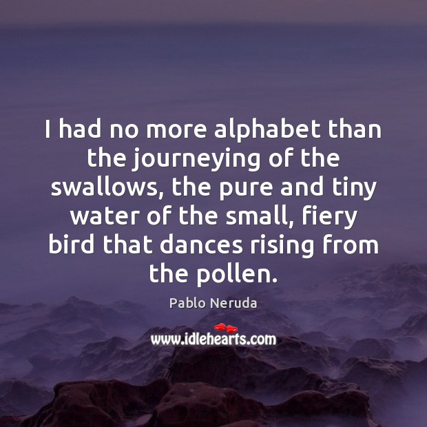 I had no more alphabet than the journeying of the swallows, the Pablo Neruda Picture Quote