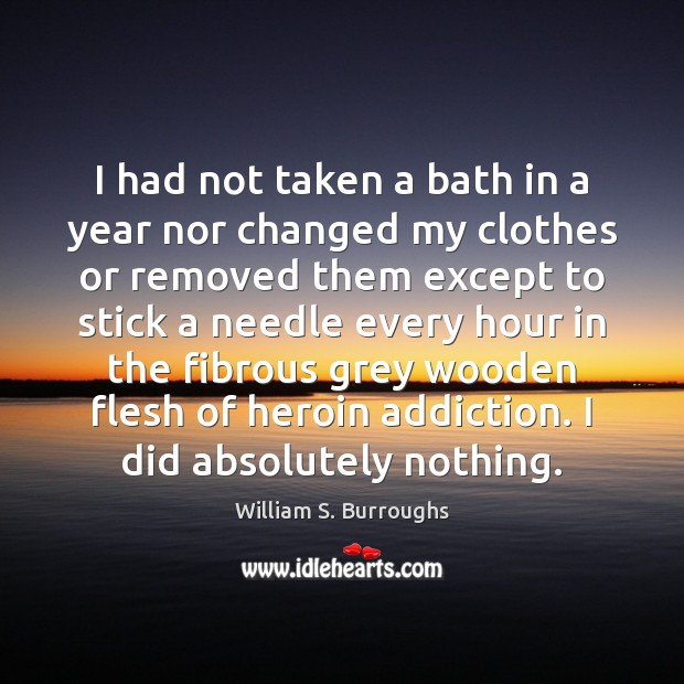 I had not taken a bath in a year nor changed my William S. Burroughs Picture Quote
