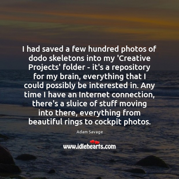 I had saved a few hundred photos of dodo skeletons into my Adam Savage Picture Quote