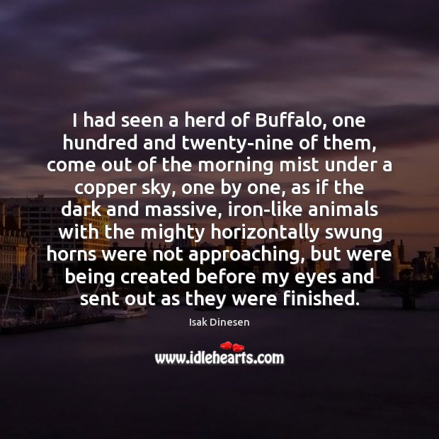 I had seen a herd of Buffalo, one hundred and twenty-nine of Isak Dinesen Picture Quote