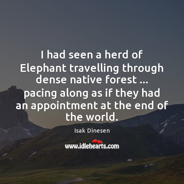 I had seen a herd of Elephant travelling through dense native forest … Isak Dinesen Picture Quote