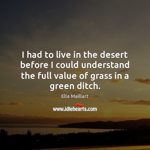 I had to live in the desert before I could understand the Ella Maillart Picture Quote