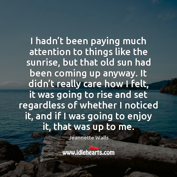 I hadn’t been paying much attention to things like the sunrise, Jeannette Walls Picture Quote