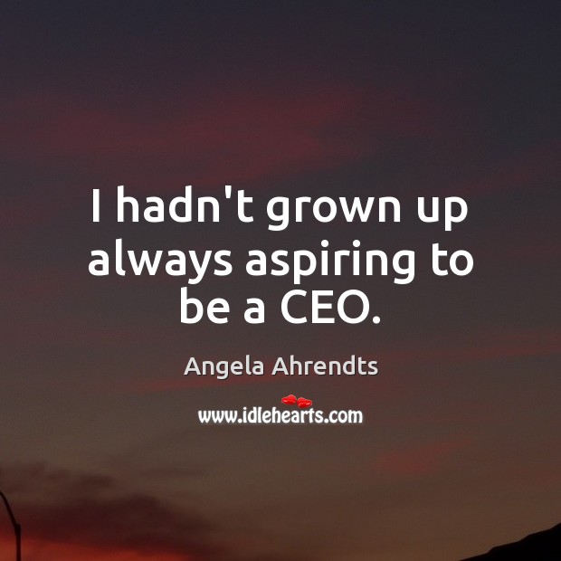 I hadn’t grown up always aspiring to be a CEO. Image