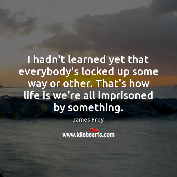 I hadn’t learned yet that everybody’s locked up some way or other. James Frey Picture Quote