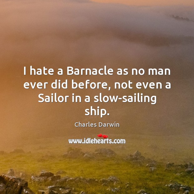I hate a Barnacle as no man ever did before, not even a Sailor in a slow-sailing ship. Charles Darwin Picture Quote
