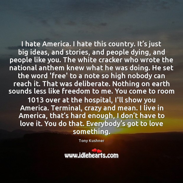 I hate America. I hate this country. It’s just big ideas, Tony Kushner Picture Quote