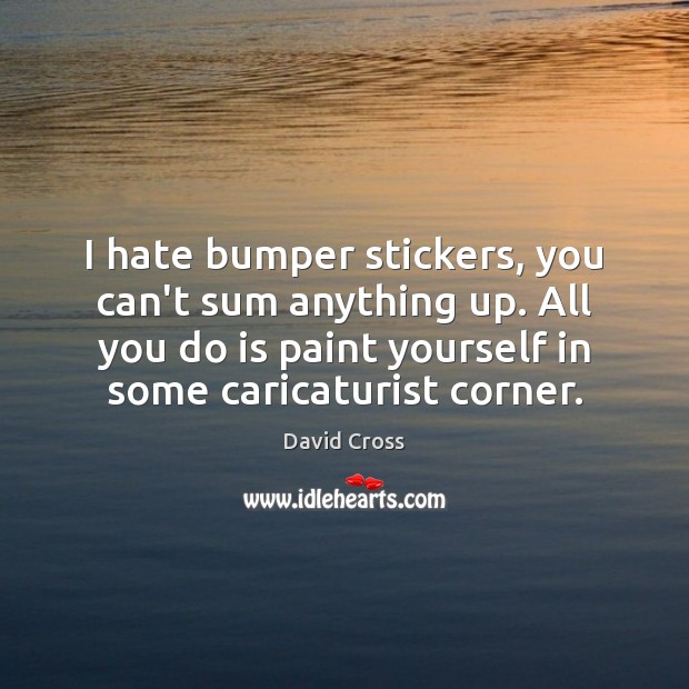 I hate bumper stickers, you can’t sum anything up. All you do David Cross Picture Quote