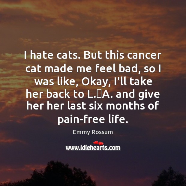 I hate cats. But this cancer cat made me feel bad, so Image