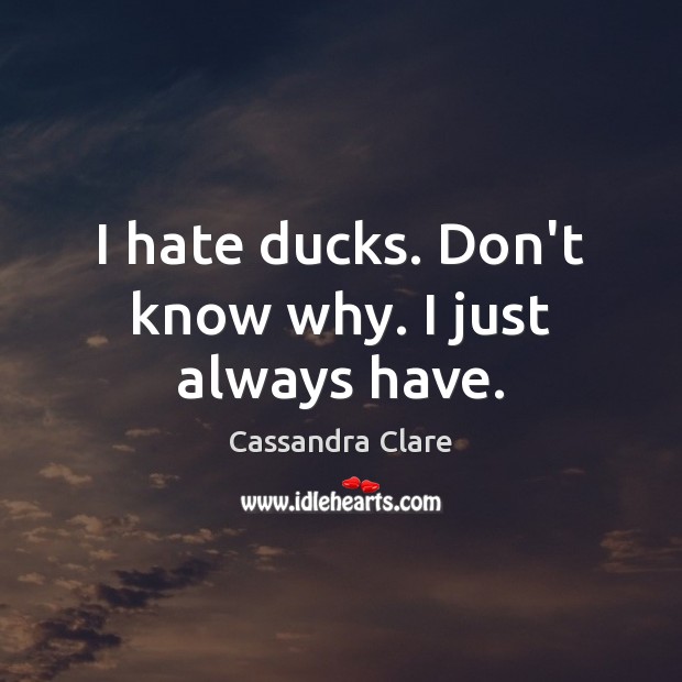 I hate ducks. Don’t know why. I just always have. 