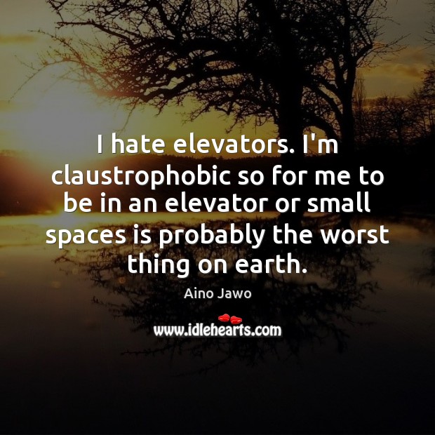 I hate elevators. I’m claustrophobic so for me to be in an Aino Jawo Picture Quote
