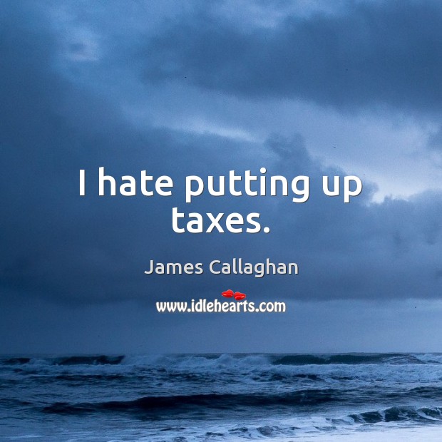 I hate putting up taxes. Image
