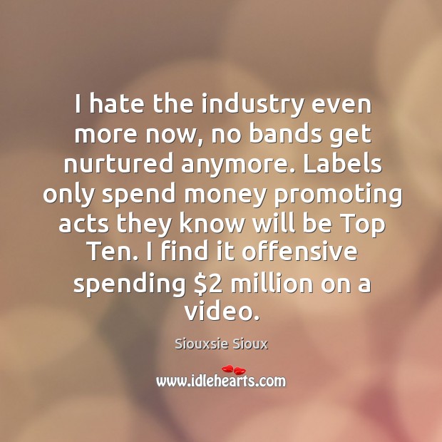 I hate the industry even more now, no bands get nurtured anymore. Labels only spend money Siouxsie Sioux Picture Quote