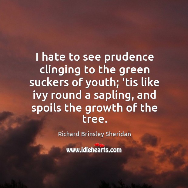 I hate to see prudence clinging to the green suckers of youth; Richard Brinsley Sheridan Picture Quote