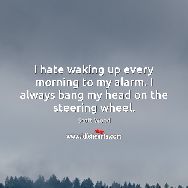 I hate waking up every morning to my alarm. I always bang my head on the steering wheel. Image