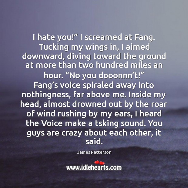 I hate you!” I screamed at Fang. Tucking my wings in, I James Patterson Picture Quote