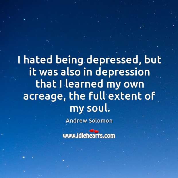 I hated being depressed, but it was also in depression that I Andrew Solomon Picture Quote