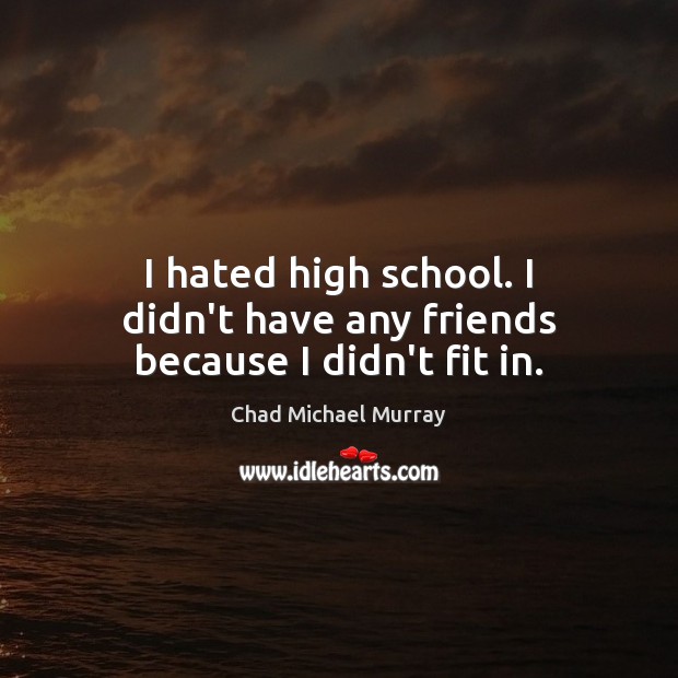 I hated high school. I didn’t have any friends because I didn’t fit in. Chad Michael Murray Picture Quote