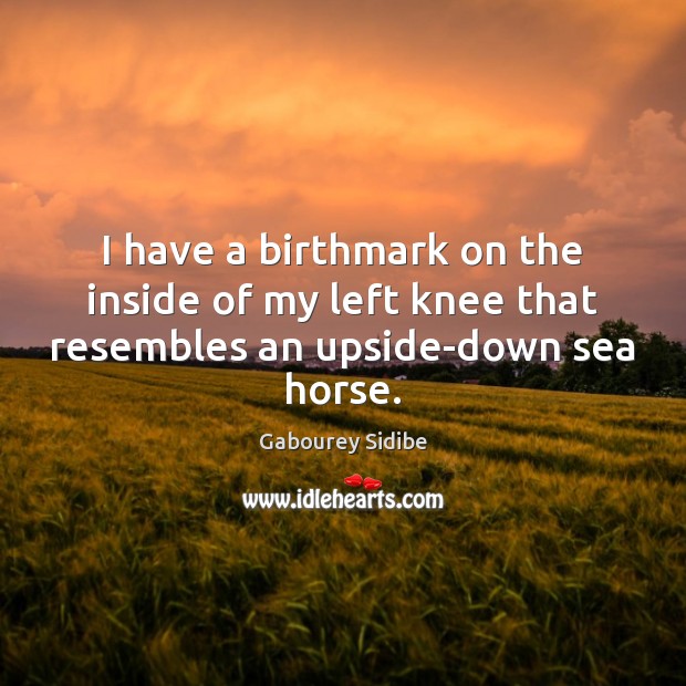 I have a birthmark on the inside of my left knee that resembles an upside-down sea horse. Gabourey Sidibe Picture Quote
