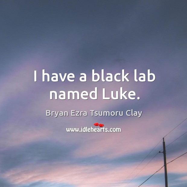 I have a black lab named luke. Bryan Ezra Tsumoru Clay Picture Quote