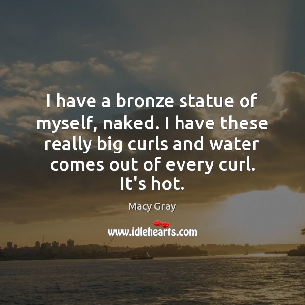 I have a bronze statue of myself, naked. I have these really Macy Gray Picture Quote