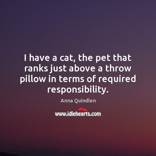 I have a cat, the pet that ranks just above a throw Anna Quindlen Picture Quote