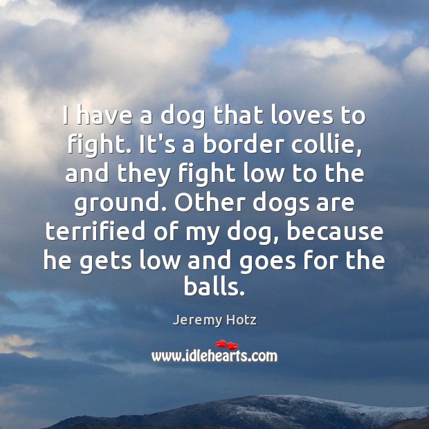 I have a dog that loves to fight. It’s a border collie, Jeremy Hotz Picture Quote