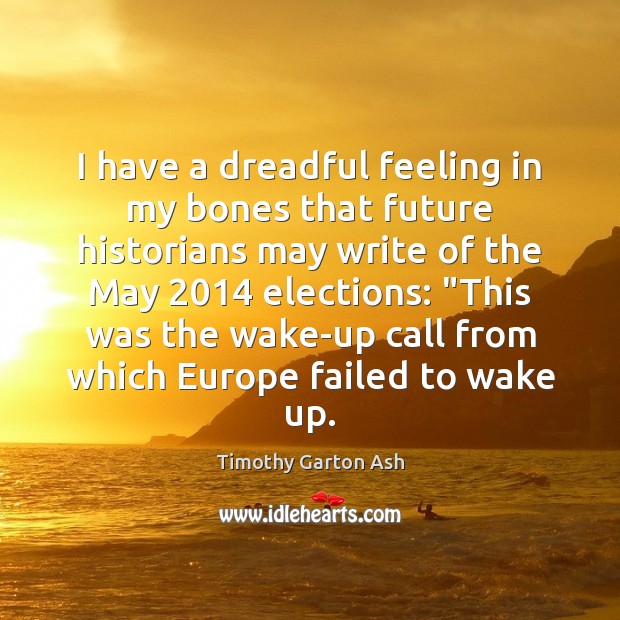 I have a dreadful feeling in my bones that future historians may Timothy Garton Ash Picture Quote