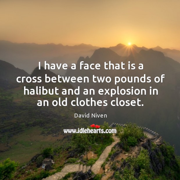I have a face that is a cross between two pounds of halibut and an explosion in an old clothes closet. David Niven Picture Quote