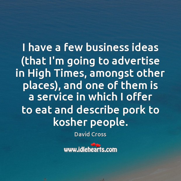 I have a few business ideas (that I’m going to advertise in David Cross Picture Quote