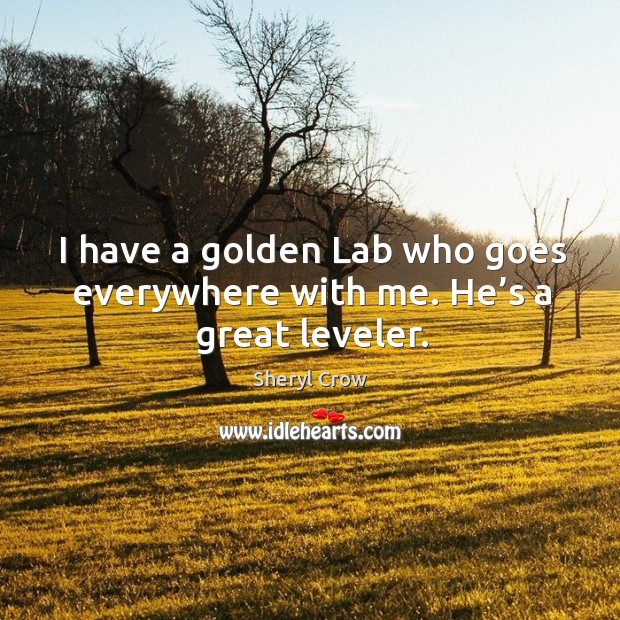 I have a golden lab who goes everywhere with me. He’s a great leveler. Image