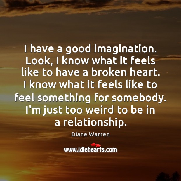 I have a good imagination. Look, I know what it feels like Diane Warren Picture Quote