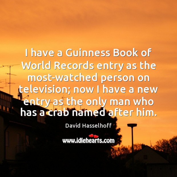 I have a Guinness Book of World Records entry as the most-watched David Hasselhoff Picture Quote