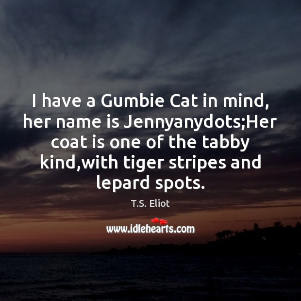 I have a Gumbie Cat in mind, her name is Jennyanydots;Her Image