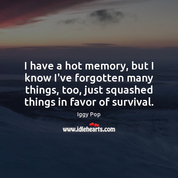 I have a hot memory, but I know I’ve forgotten many things, Iggy Pop Picture Quote