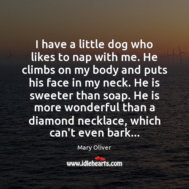 I have a little dog who likes to nap with me. He Mary Oliver Picture Quote