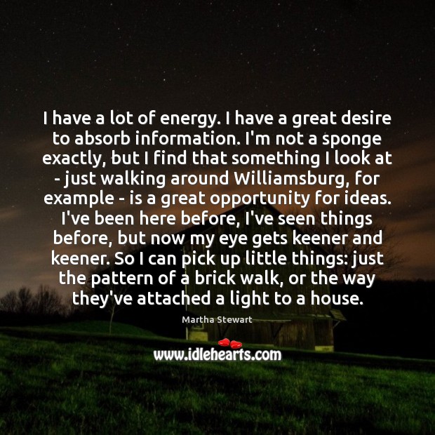 I have a lot of energy. I have a great desire to Martha Stewart Picture Quote