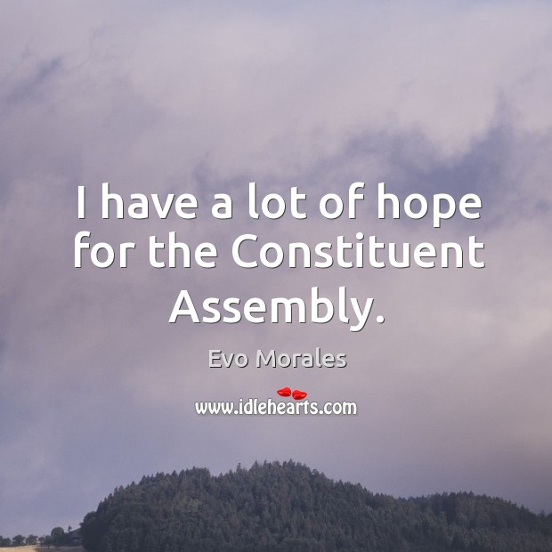 I have a lot of hope for the constituent assembly. Evo Morales Picture Quote