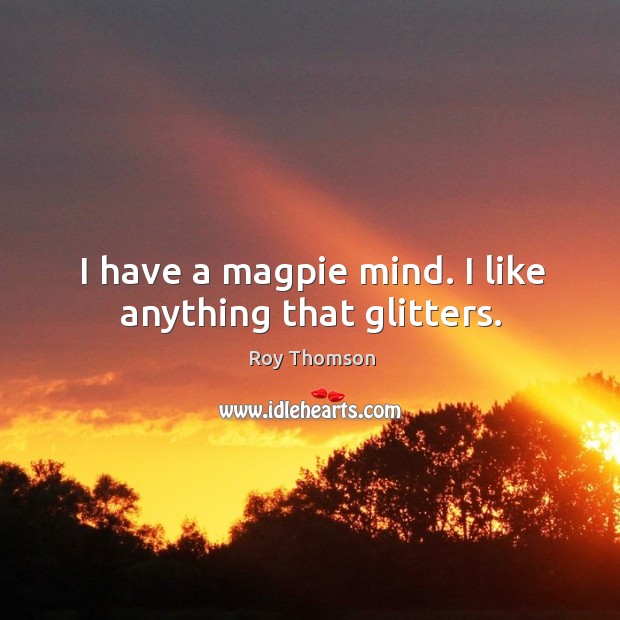 I have a magpie mind. I like anything that glitters. Image
