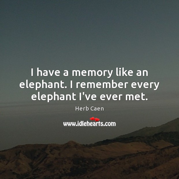 I have a memory like an elephant. I remember every elephant I’ve ever met. Herb Caen Picture Quote