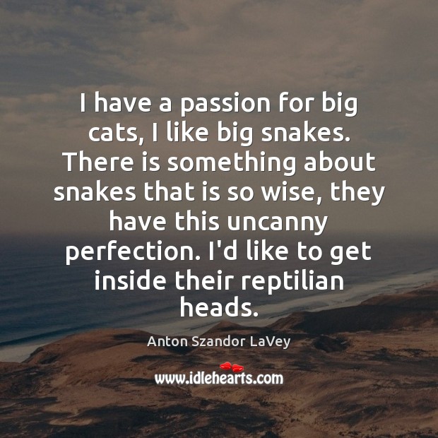 I have a passion for big cats, I like big snakes. There Anton Szandor LaVey Picture Quote