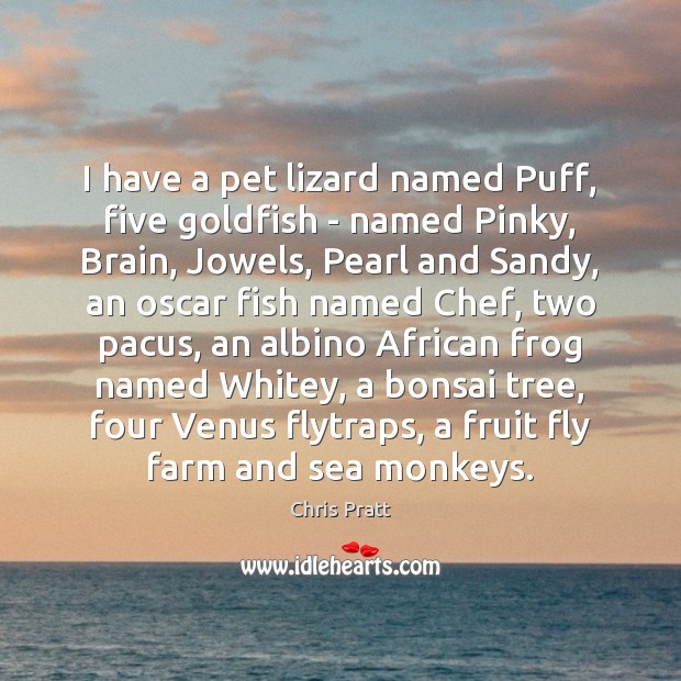 I have a pet lizard named Puff, five goldfish – named Pinky, Chris Pratt Picture Quote
